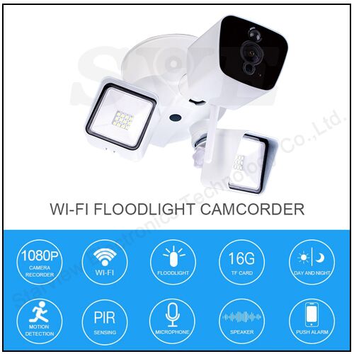 Floodlight Camera