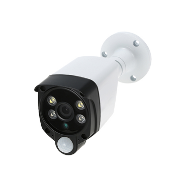2MP 4 in 1 IR&White LED PIR Detection Camera