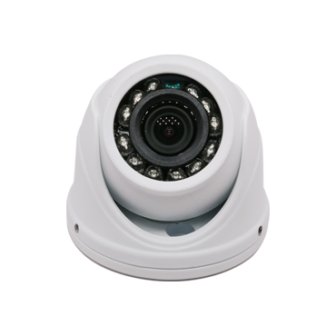 2＂ Metal 1080P Poe CCTV Network Security H. 265 Onvif Dome